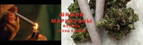 гидра Наволоки