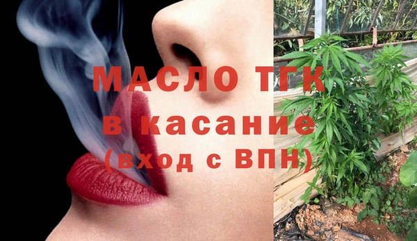 сатива Надым