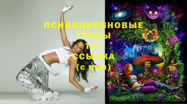 сатива Надым
