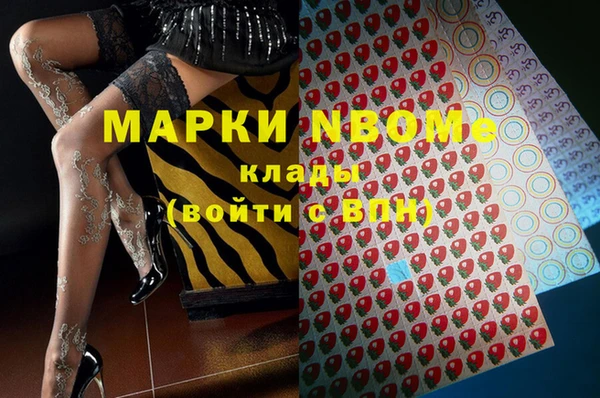 сатива Надым