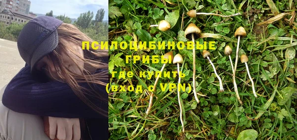 ГАЛЛЮЦИНОГЕННЫЕ ГРИБЫ Нея