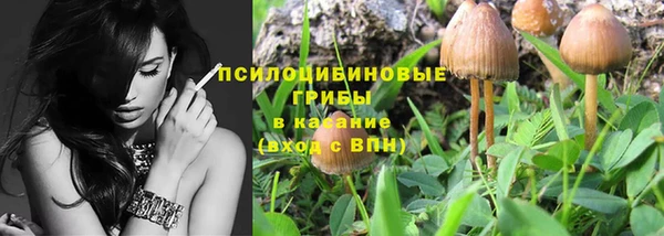 гидра Наволоки