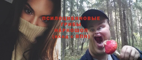 сатива Надым