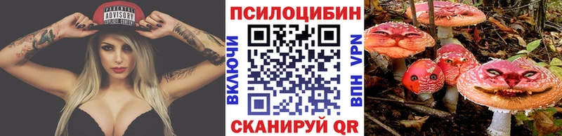 Галлюциногенные грибы Psilocybe  закладка  Краснотурьинск 