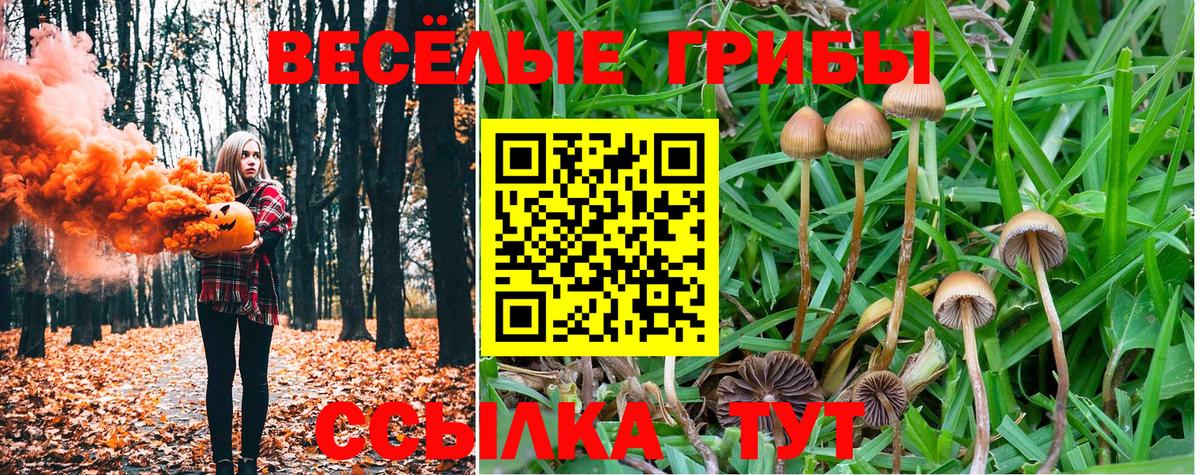 Галлюциногенные грибы GOLDEN TEACHER  Галлюциногенные грибы Psilocybine cubensis  Краснотурьинск 