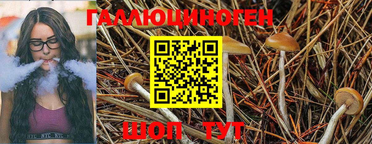 Амфетамин Краснотурьинск