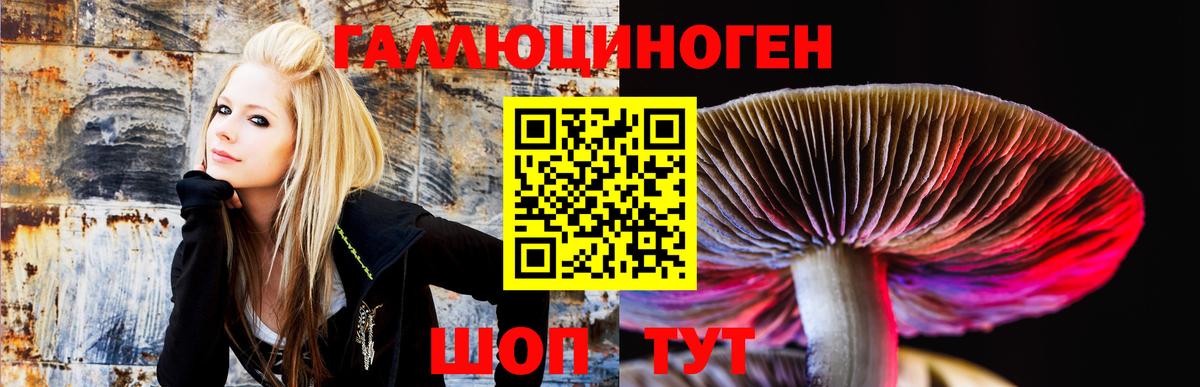 Краснотурьинск  Псилоцибиновые грибы Cubensis  Вход с VPN 